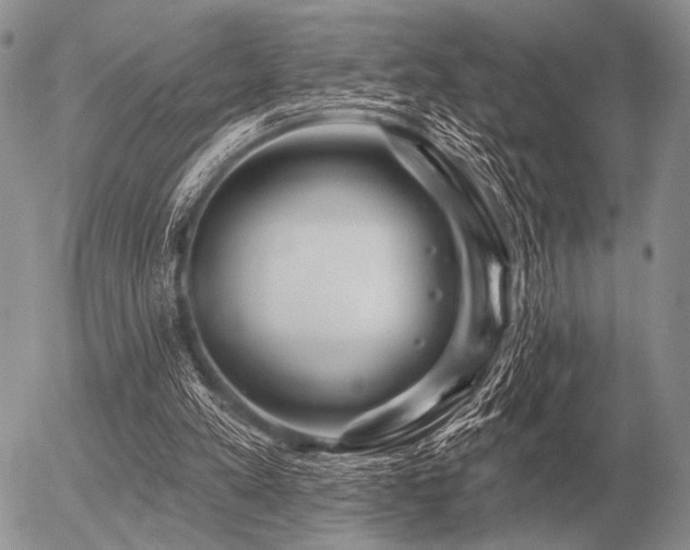 X0000056370197200508261412