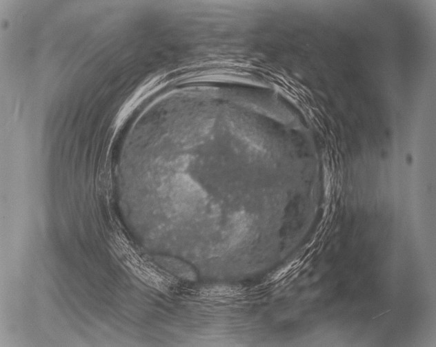 X0000056370198200508261412