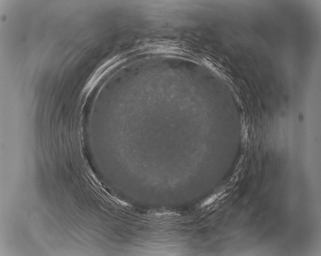 X0000056370199200508261412