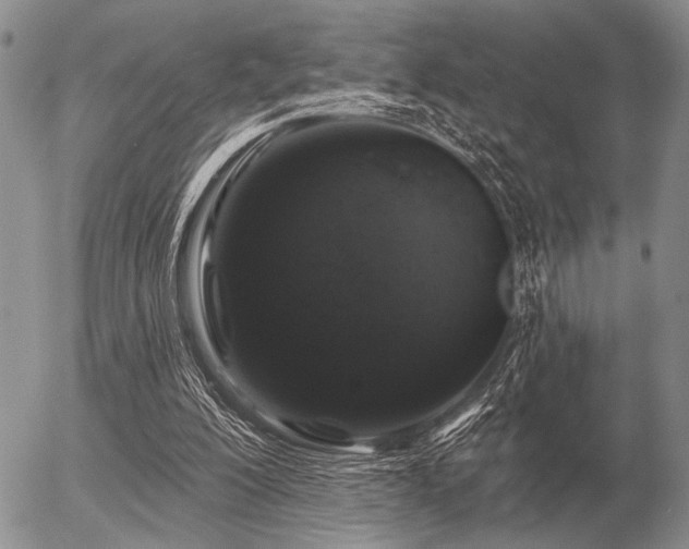 X0000056370200200508261412