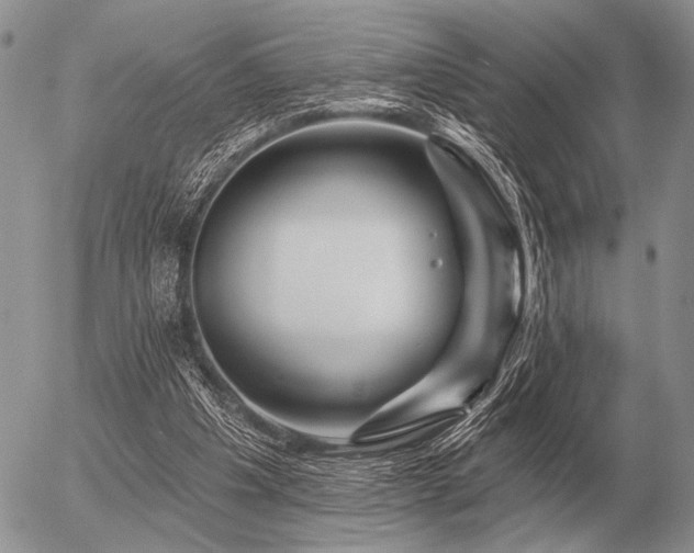 X0000056370201200508261412