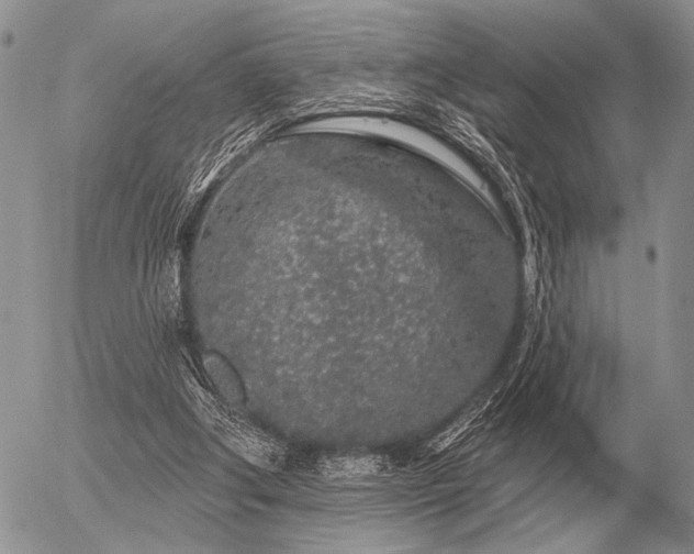 X0000056370202200508261412