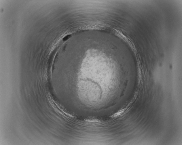 X0000056370203200508261411