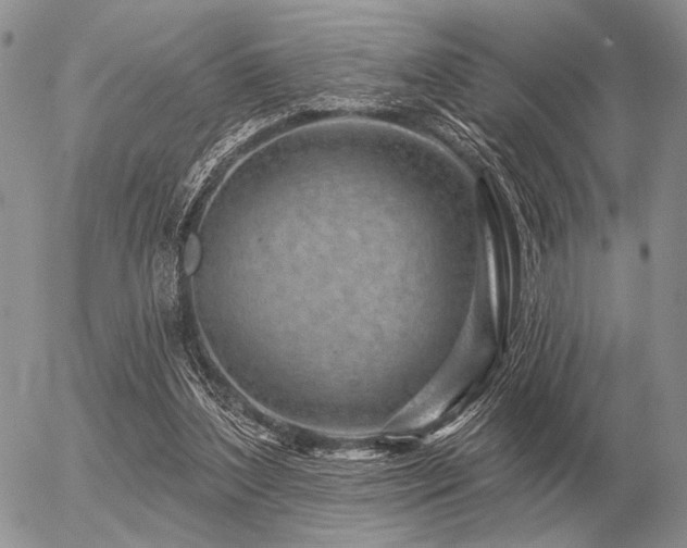 X0000056370204200508261411