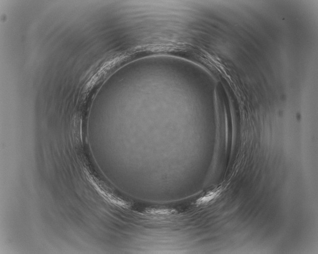 X0000056370205200508261411