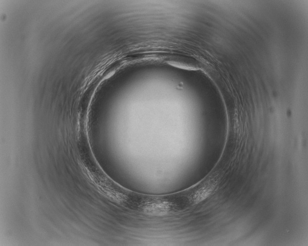 X0000056370206200508261411