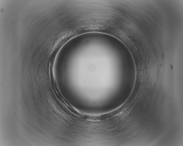 X0000056370207200508261411