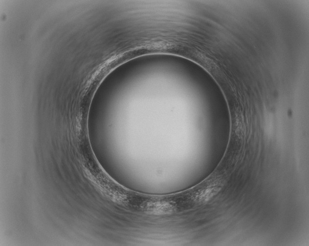 X0000056370208200508261411