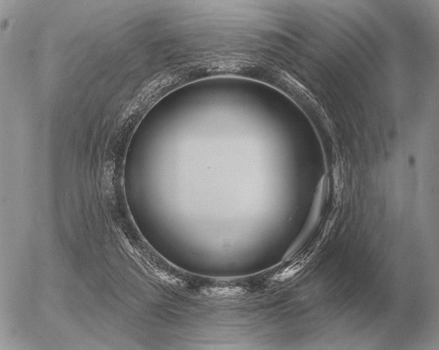 X0000056370209200508261411