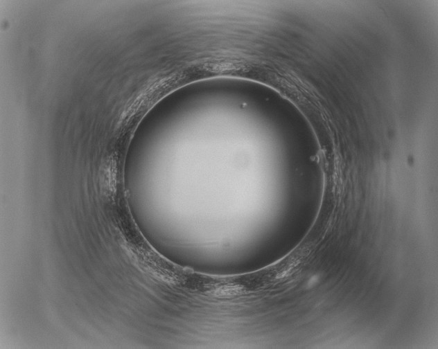 X0000056370210200508261411