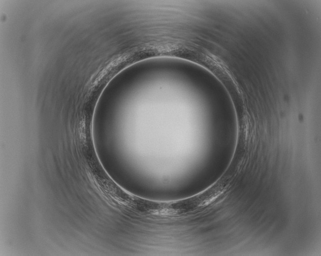 X0000056370212200508261411