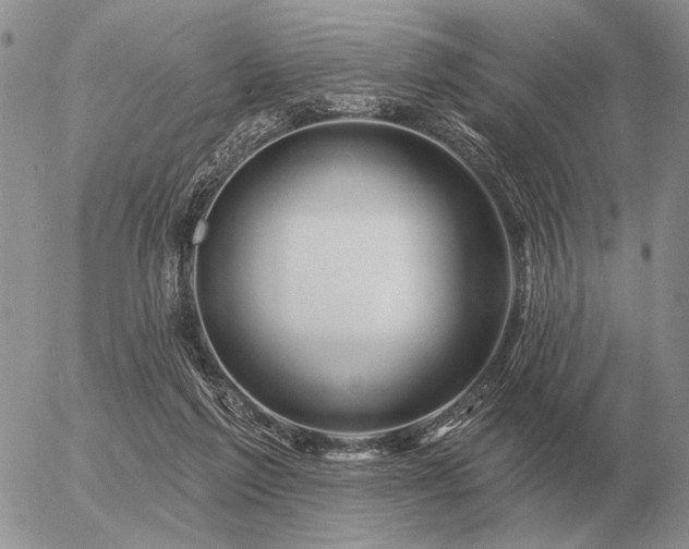 X0000056370213200508261411