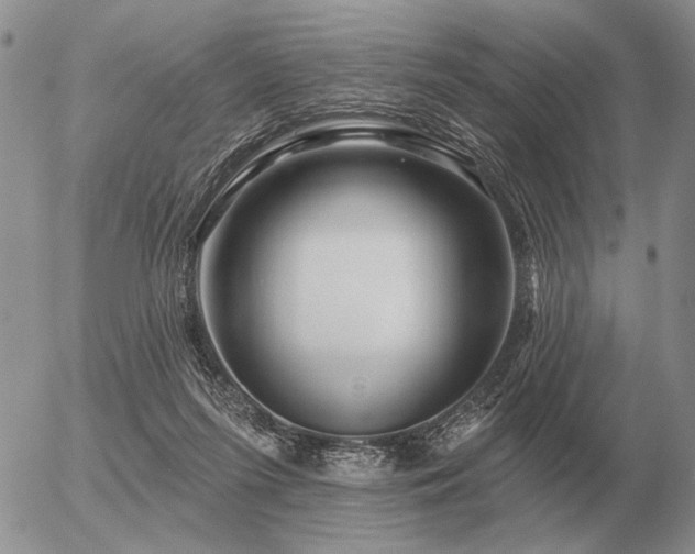 X0000056370215200508261411