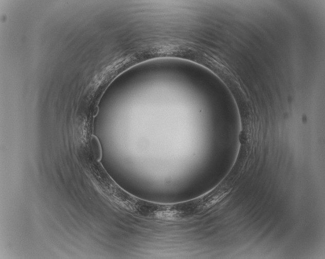 X0000056370216200508261411