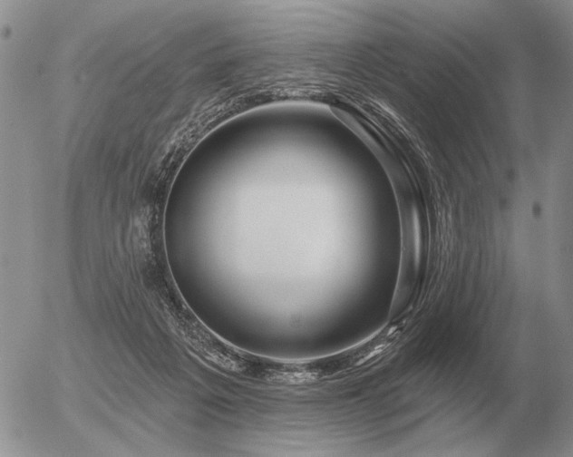 X0000056370217200508261411