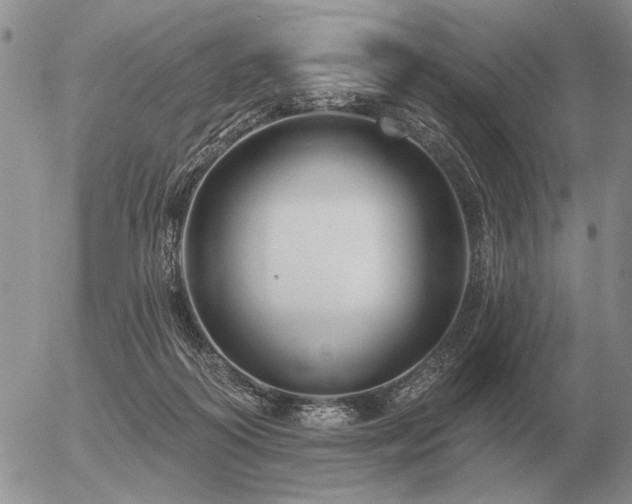 X0000056370218200508261411