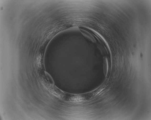 X0000056370219200508261411