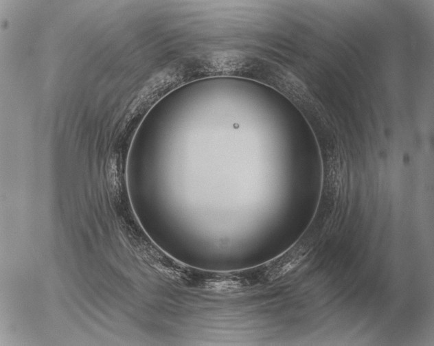 X0000056370220200508261411