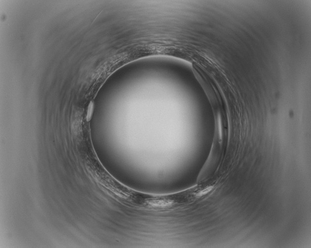 X0000056370221200508261411