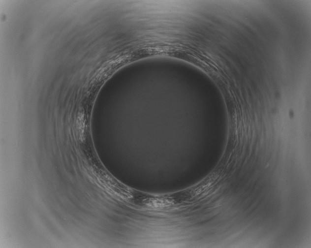 X0000056370223200508261411