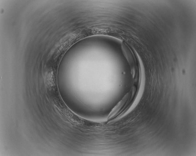 X0000056370224200508261411