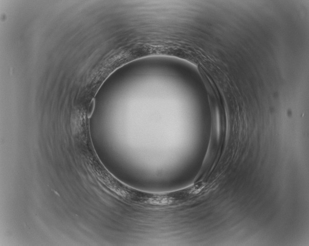 X0000056370225200508261411