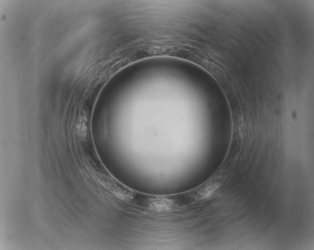 X0000056370226200508261411