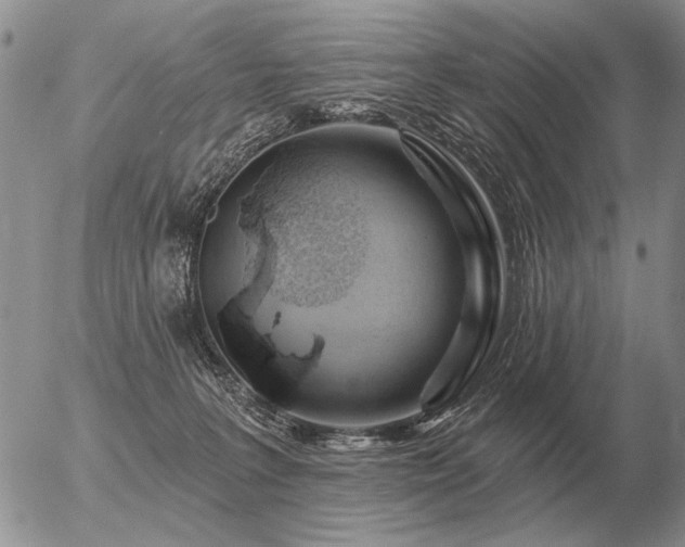 X0000056370227200508261411