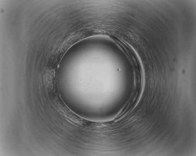 X0000056370229200508261411