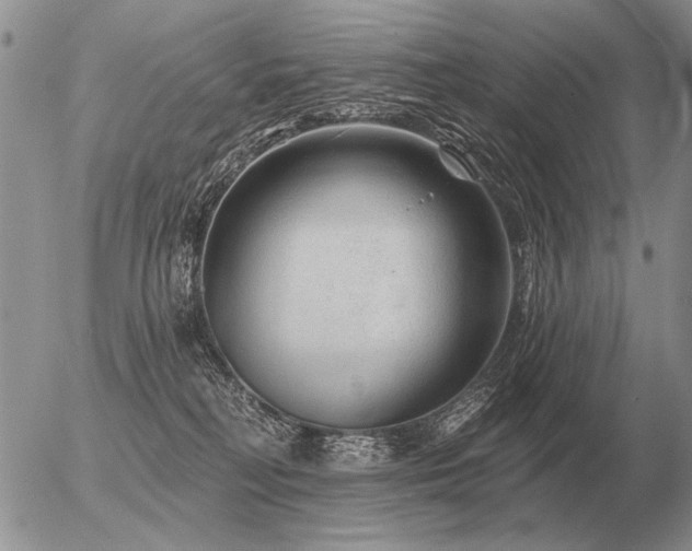 X0000056370230200508261411