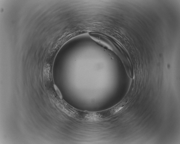 X0000056370231200508261411