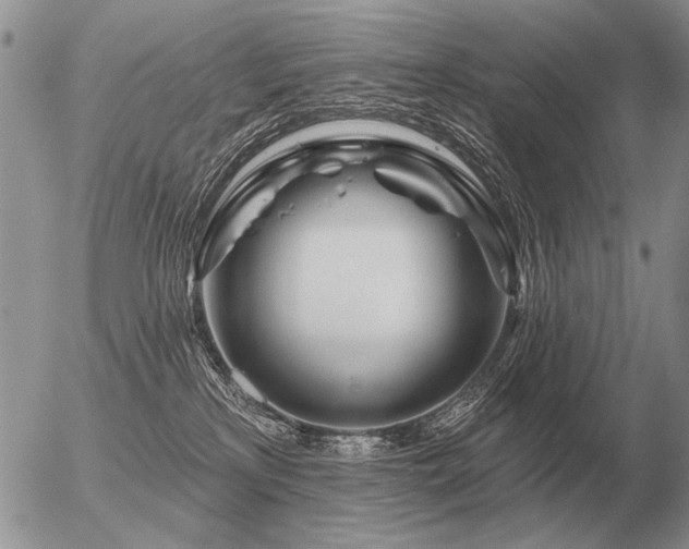 X0000056370233200508261411