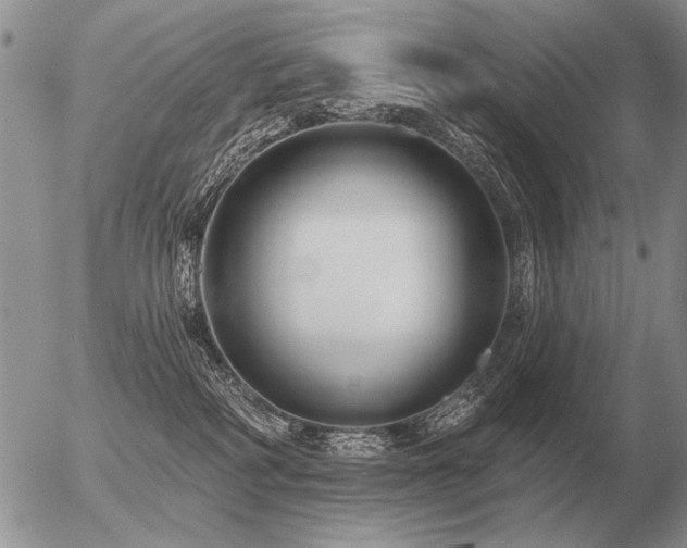 X0000056370234200508261411