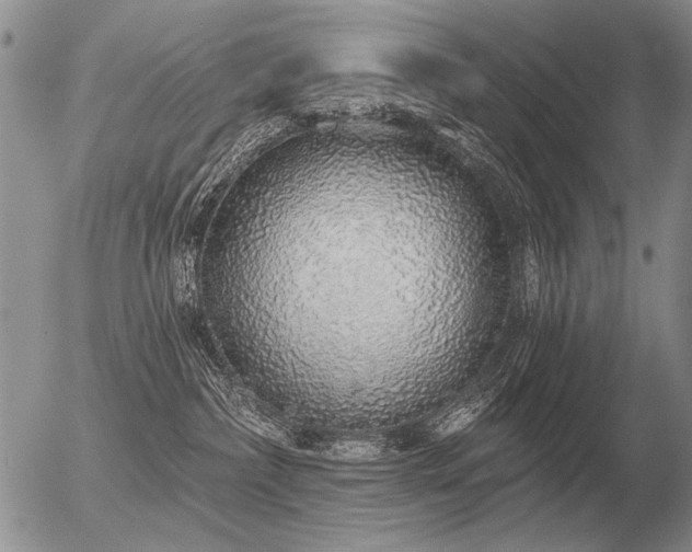 X0000056370236200508261411