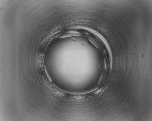 X0000056370237200508261411