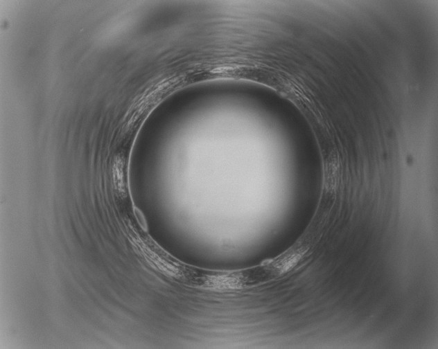 X0000056370238200508261411