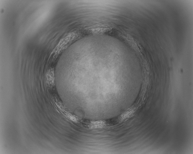 X0000056370240200508261411