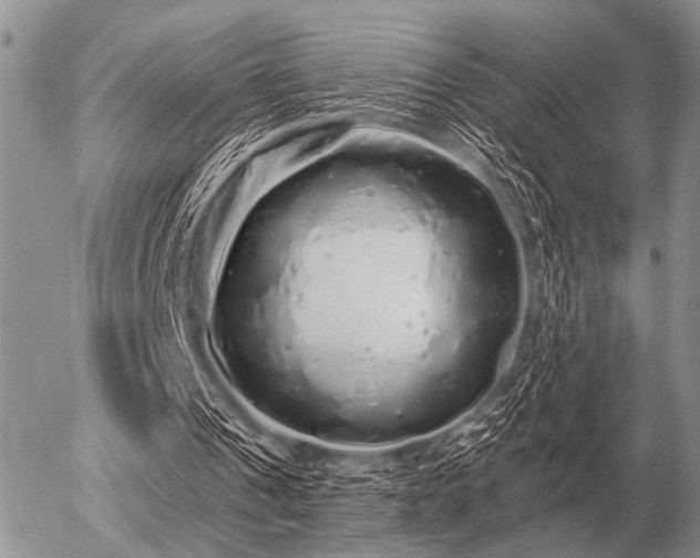 X0000056370241200508261410