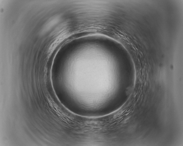 X0000056370242200508261410