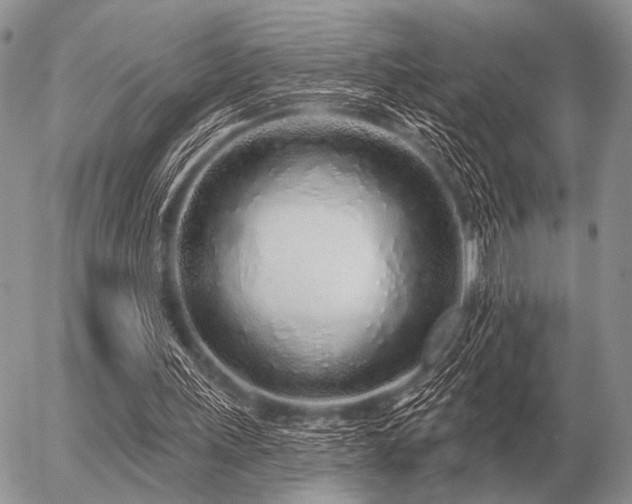 X0000056370243200508261410