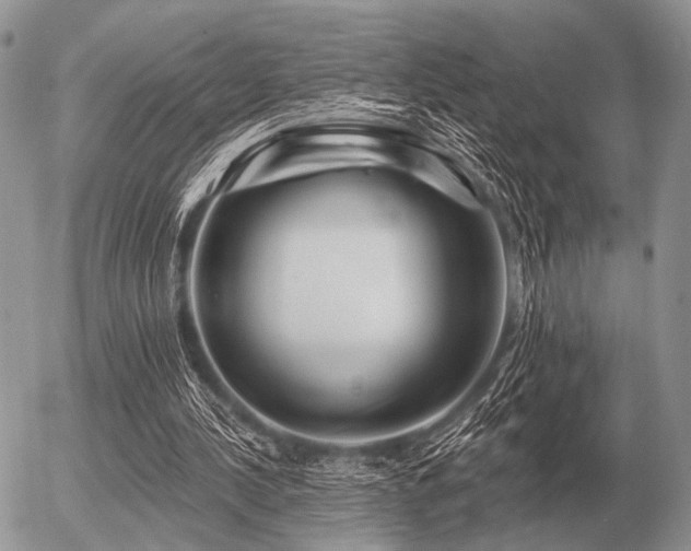 X0000056370244200508261410