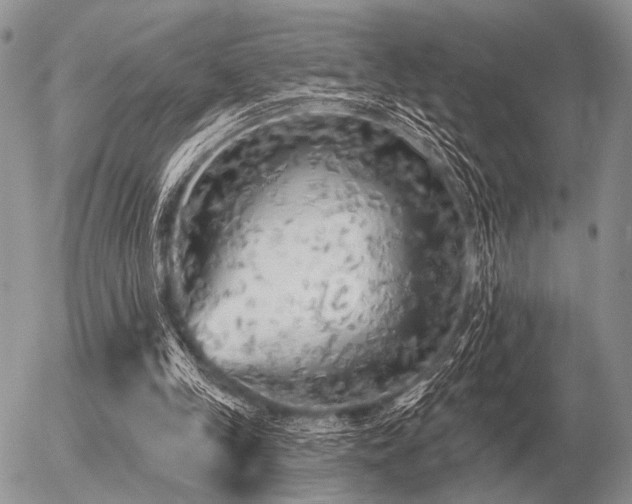 X0000056370245200508261410