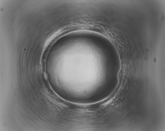 X0000056370246200508261410