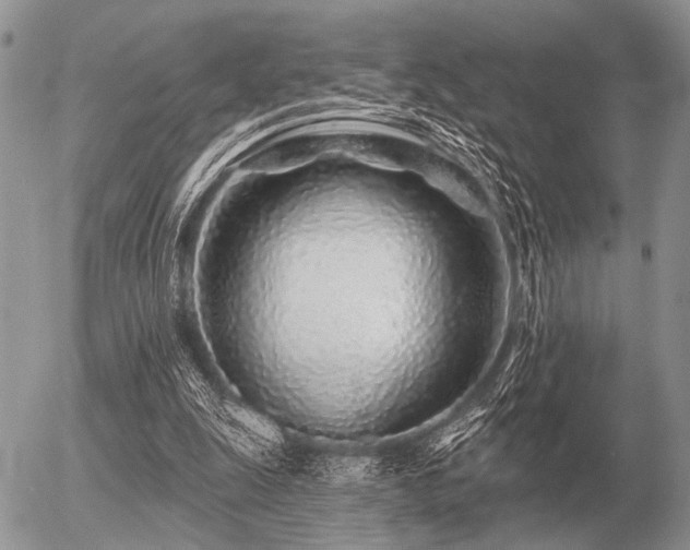 X0000056370247200508261410