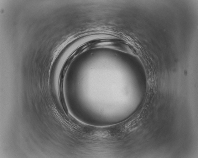 X0000056370248200508261410