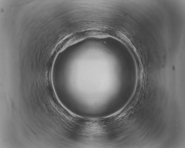 X0000056370249200508261410