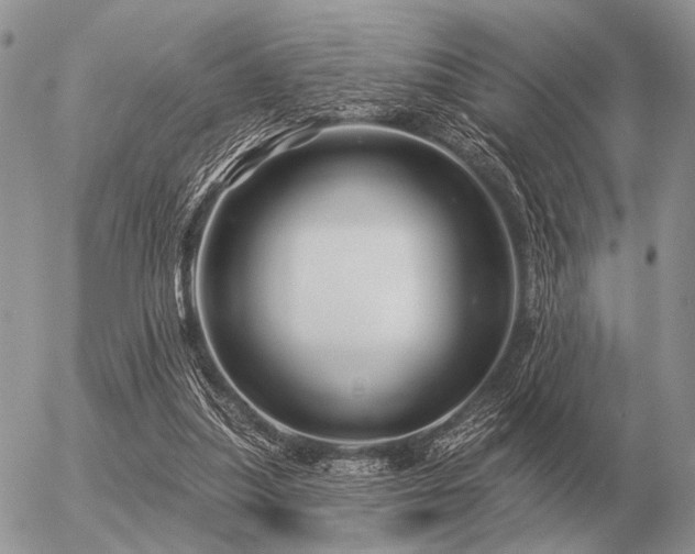 X0000056370251200508261410