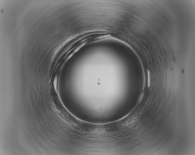 X0000056370252200508261410