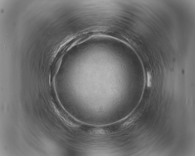 X0000056370253200508261410