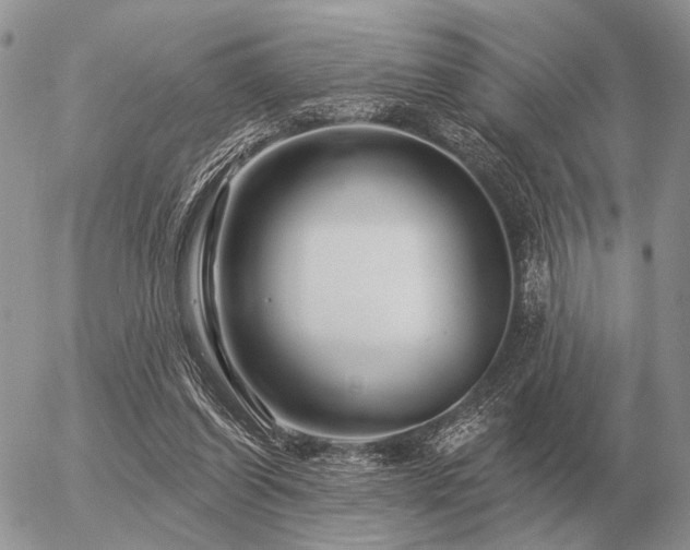 X0000056370254200508261410